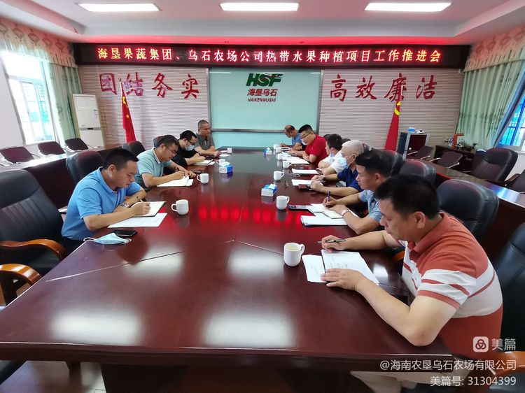 海墾果蔬集團與烏石農(nóng)場公司召開熱帶水果種植項目工作推進會