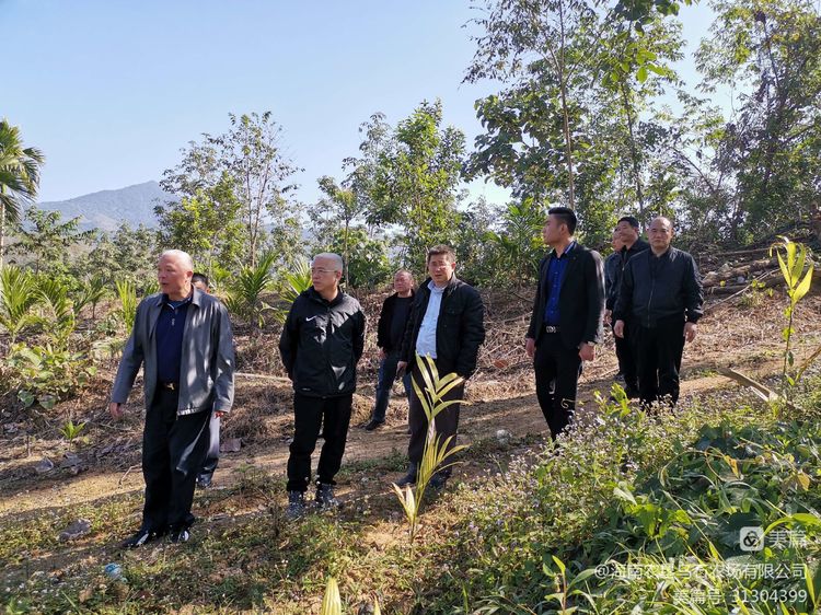 烏石農(nóng)場公司班子成員到乘坡分場椰子種植基地用地現(xiàn)場調(diào)研