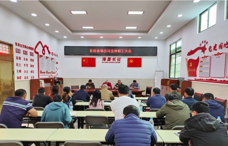 烏石農(nóng)場(chǎng)公司長(zhǎng)征子公司召開一季度開門紅動(dòng)員會(huì)
