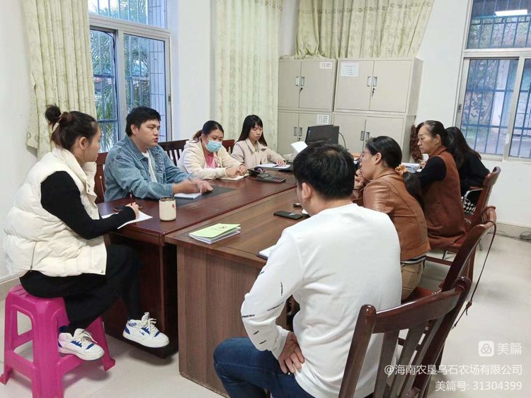 烏石農(nóng)場(chǎng)公司召開2023年度財(cái)務(wù)工作專題會(huì)