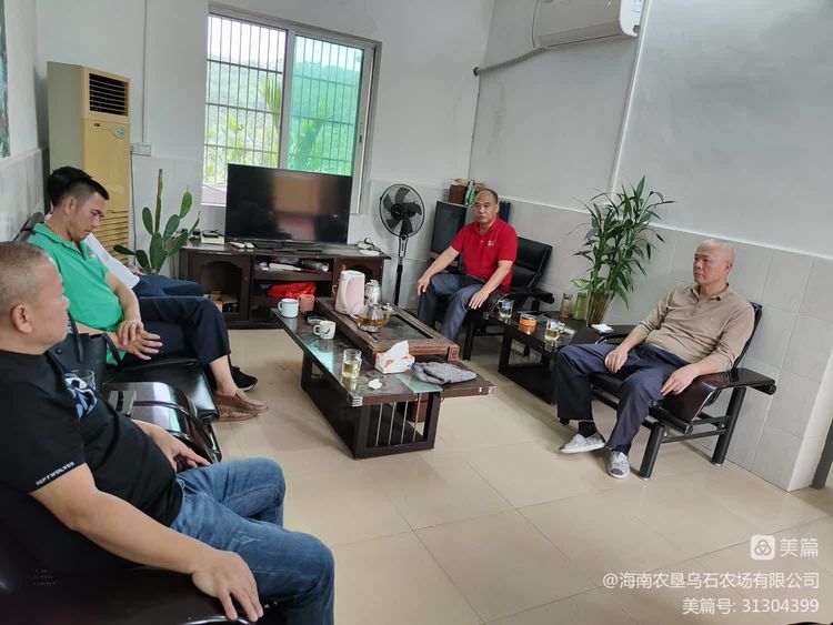 烏石農(nóng)場公司長征子公司到太平分場開展督導(dǎo)工作