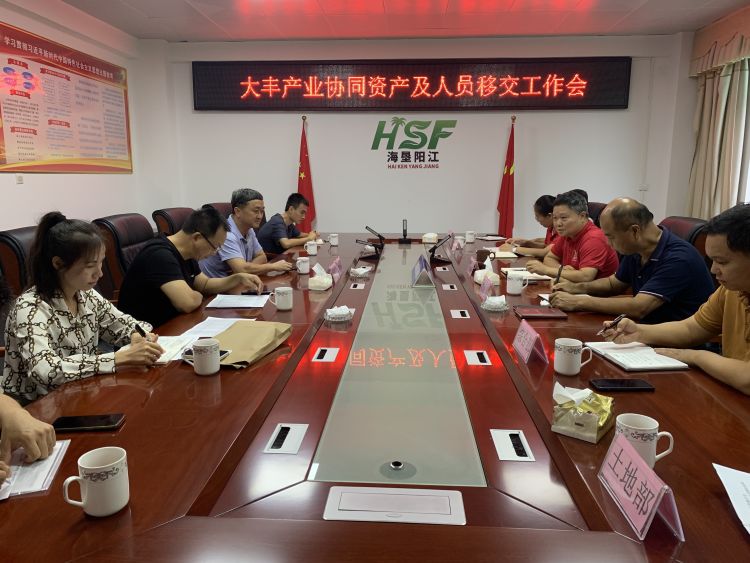 大豐產(chǎn)業(yè)協(xié)同資產(chǎn)及人員移交工作會